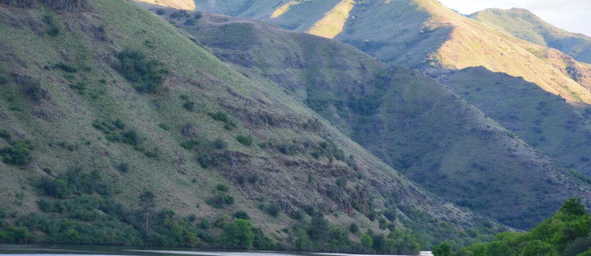 Sunlit canyon walls dropping to the Snake River