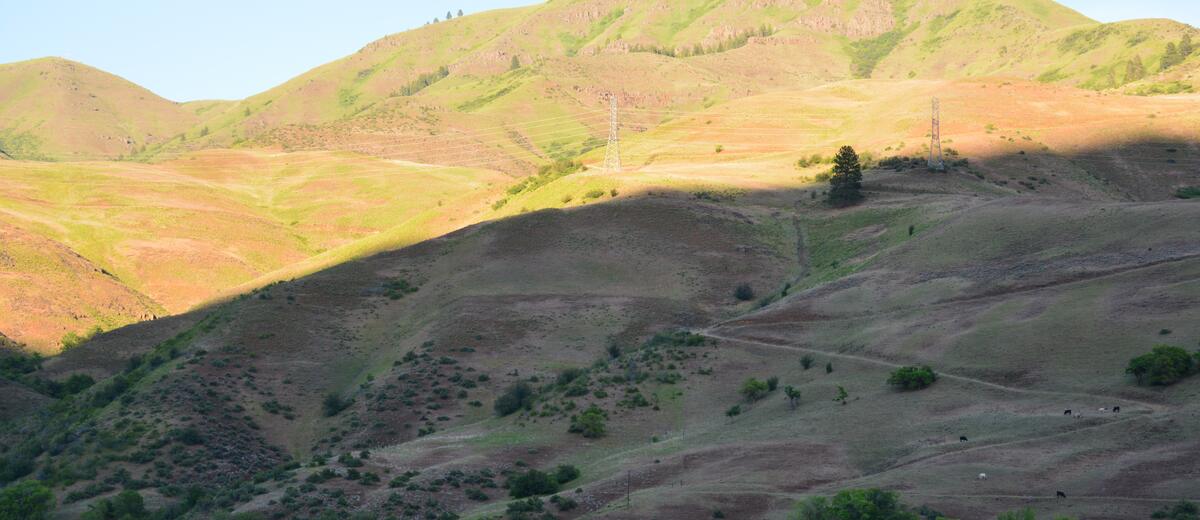 Grassy hills in late-day sun above the reservoir